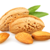 almond processing work